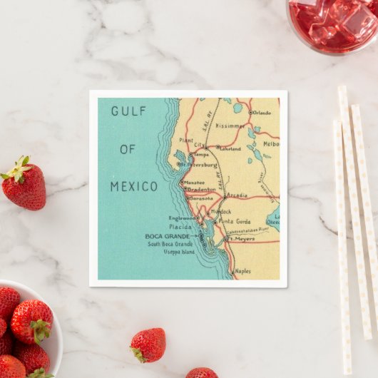 Serviette En Papier Serviettes Boca Grande Useppa Floride (En situation)