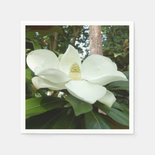 Serviette En Papier Serviettes de papier grandiflora de magnolia