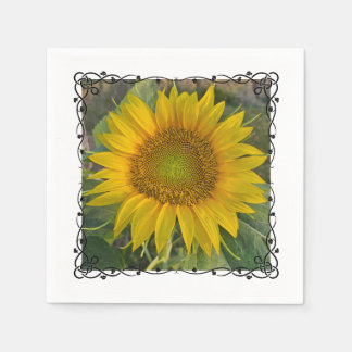 Serviette En Papier Serviettes de tournesol