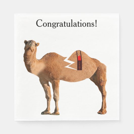 Serviette En Papier Serviettes du Divorce Party (Devant)