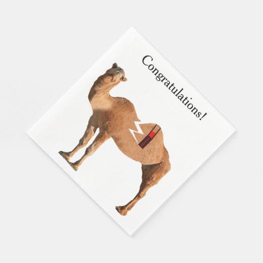 Serviette En Papier Serviettes du Divorce Party (Coin)