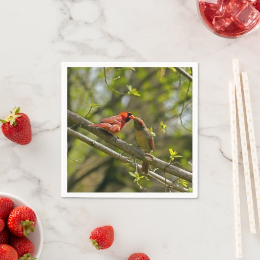 Serviette En Papier Serviettes En Papier, Cardinaux Embrassés. (En situation)