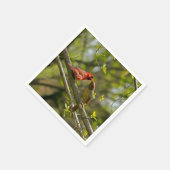 Serviette En Papier Serviettes En Papier, Cardinaux Embrassés. (Coin)