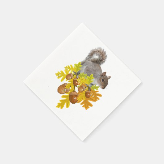 Serviette En Papier Serviettes en papier, écureuil (Coin)