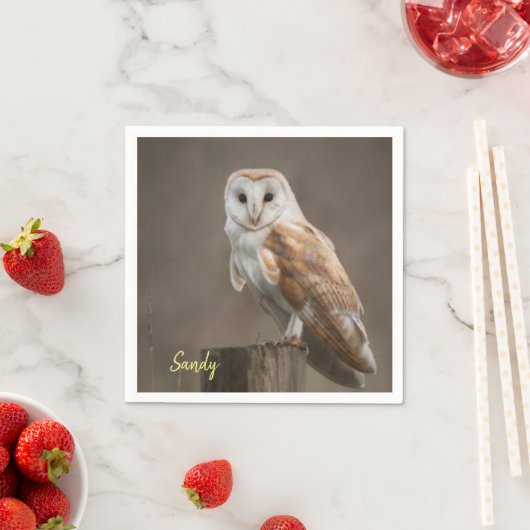 Serviette En Papier Serviettes en papier, hibou (En situation)