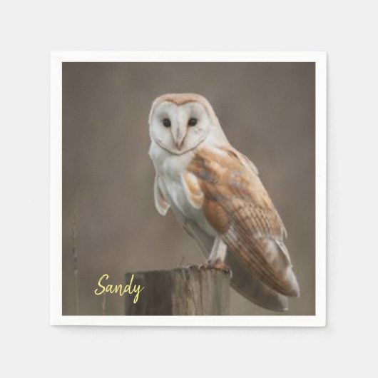 Serviette En Papier Serviettes en papier, hibou (Devant)