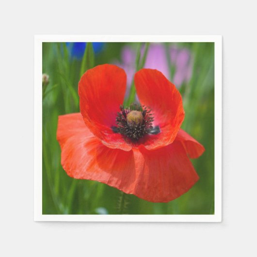 Serviette En Papier Serviettes Fleurs (Devant)
