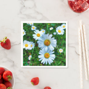 Serviette En Papier Serviettes Ox Eye Daisies