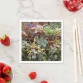Serviette En Papier Serviettes succulentes (En situation)