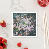Serviette En Papier Serviettes succulentes (En situation)