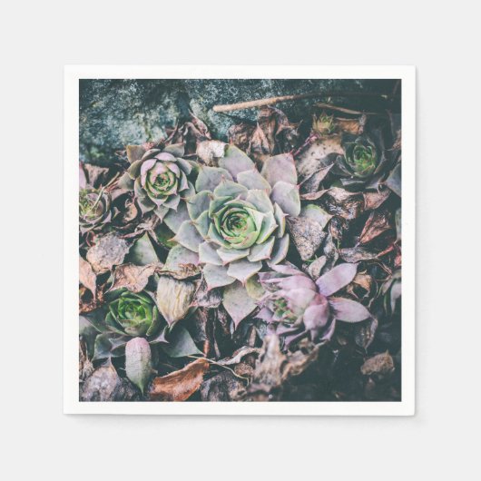Serviette En Papier Serviettes succulentes (Devant)