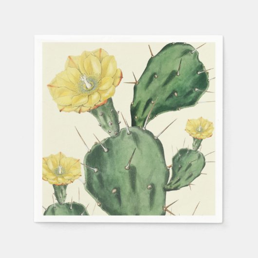 Serviette En Papier Serviettes Succulentes (Devant)