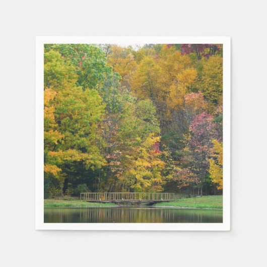 Serviette En Papier Seven Springs Fall Bridge II Autumn Paysage (Devant)