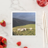 SERVIETTE EN PAPIER SHEEP (En situation)