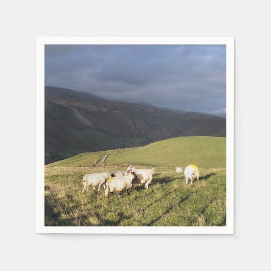 SERVIETTE EN PAPIER SHEEP (Devant)