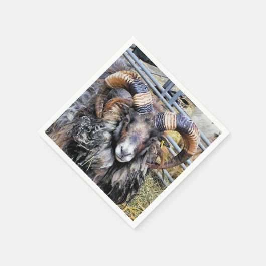 SERVIETTE EN PAPIER SHEEP (Coin)
