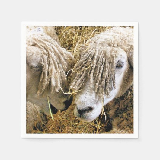 SERVIETTE EN PAPIER SHEEP (Devant)