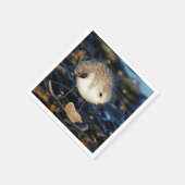 Serviette En Papier Shorebird Dines on Clam (Coin)