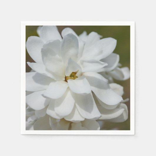 Serviette En Papier Silky Magnolia (Devant)