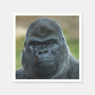 Serviette En Papier Silverback