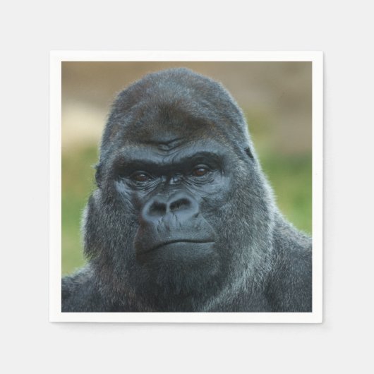 Serviette En Papier Silverback (Devant)