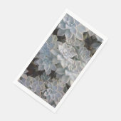 Serviette En Papier Silvery Blue Succulents (Coin)