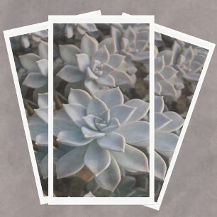 Serviette En Papier Silvery Blue Succulents Papier Serviettes d'hôtes