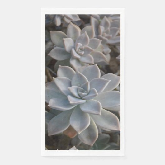 Serviette En Papier Silvery Blue Succulents Papier Serviettes d'hôtes (Devant)