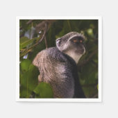 Serviette En Papier Singe bleu, Zanzibar (Devant)