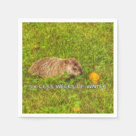 Serviette En Papier Six semaines de moins de serviettes d'hiver (Devant)