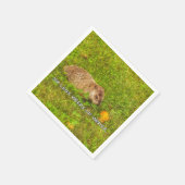 Serviette En Papier Six semaines de moins de serviettes d'hiver (Coin)