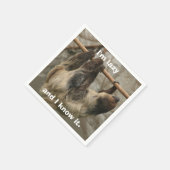 Serviette En Papier Sloth (Coin)