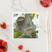 Serviette En Papier Sloth (En situation)