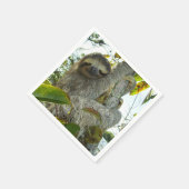 Serviette En Papier Sloth (Coin)
