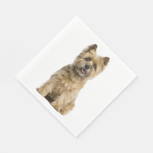 Serviette En Papier Soignée Amoureux des chiens Party Cairn Terrier Fa (Coin)