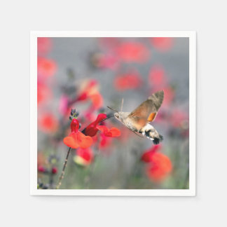 Serviette En Papier Sphinx colibri