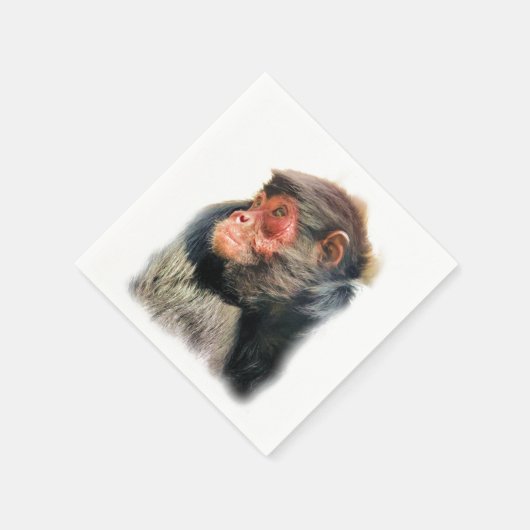SERVIETTE EN PAPIER SPIDER MONKEY (Coin)