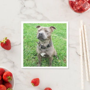 Serviette En Papier Staffordshire Bull Terrier À L'Attention,