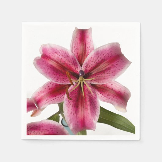 Serviette En Papier Stargazer Lily Cocktail Napkin (Devant)