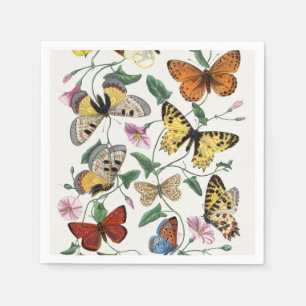 Serviette En Papier Study of Diurnal butterflies by Paul Gervais