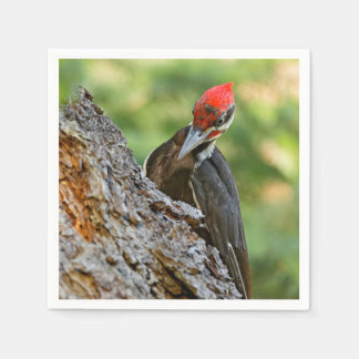Serviette En Papier Stunning Portrait of Pileated Woodpecker on Tree