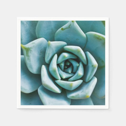 Serviette En Papier Succulente (Devant)