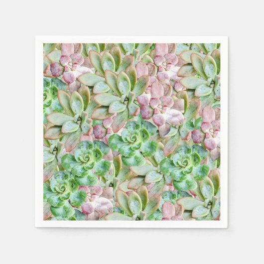 Serviette En Papier Succulente Colorée (Devant)