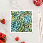Serviette En Papier Succulents (En situation)