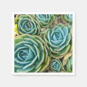 Serviette En Papier Succulents (Devant)