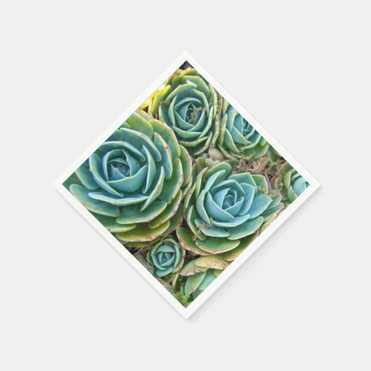 Serviette En Papier Succulents (Coin)