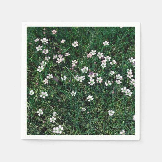 Serviette En Papier Summer Meadow Petits Fleurs sauvages blancs et ros (Devant)