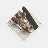 Serviette En Papier Sunning Lions à San Francisco (Coin)