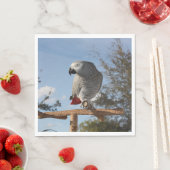 Serviette En Papier Superbe perroquet gris africain (En situation)