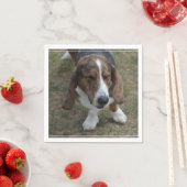 Serviette En Papier Sweet Basset Hound (En situation)